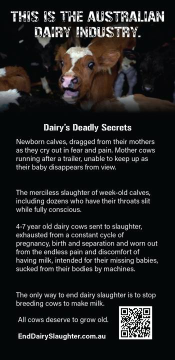 End Dairy Slaughter Leaflet - Page 1