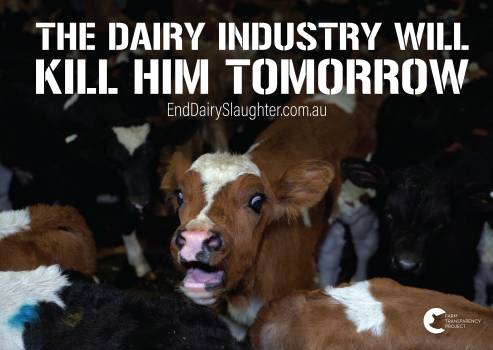 End Dairy Slaughter - Placard 2