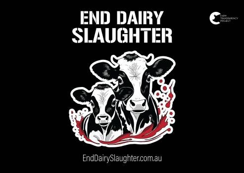 End Dairy Slaughter - Placard 5