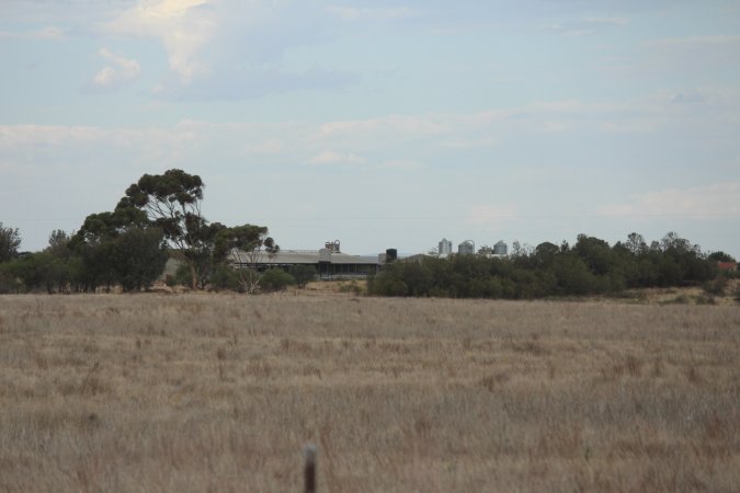 Sheds seen from road