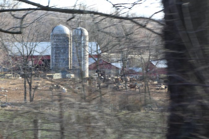 Sutton Family Farm