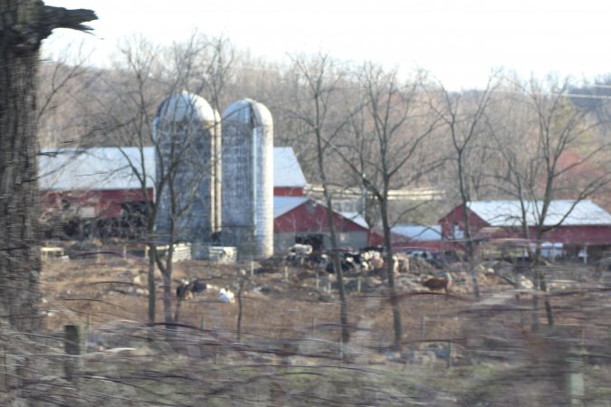 Sutton Family Farm