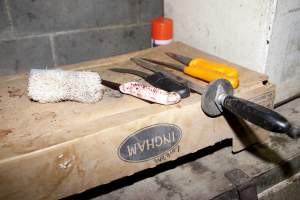 Knives in slaughter room - Australian pig farming - Captured at Wally's Piggery, Jeir NSW Australia.