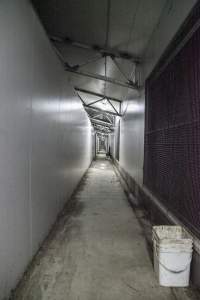 Corridor at side of farrowing shed - Australian pig farming - Captured at Golden Grove Piggery, Young NSW Australia.