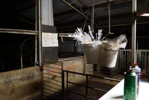 Buckets of pork stork catheters - Australian pig farming - Captured at Yelmah Piggery, Magdala SA Australia.