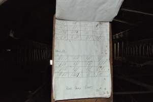 Boar usage sheet - Australian pig farming - Captured at CEFN Breeding Unit #2, Leyburn QLD Australia.