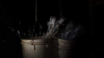 Buckets of pork stork catheters - Australian pig farming - Captured at Yelmah Piggery, Magdala SA Australia.