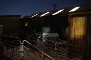 Piggery sheds outside at night - Australian pig farming - Captured at Yelmah Piggery, Magdala SA Australia.
