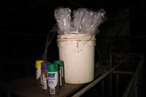 Bucket of pork stork catheters - Australian pig farming - Captured at Yelmah Piggery, Magdala SA Australia.