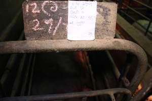 Farrowing record - Australian pig farming - Captured at Yelmah Piggery, Magdala SA Australia.