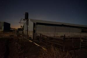 Piggery sheds outside at night - Australian pig farming - Captured at Ludale Piggery, Reeves Plains SA Australia.