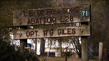 Sign: 'LE Giles & Sons Abattoir L28' - OPT. RG GILES - Captured at LE Giles & Sons Abattoir, Trafalgar VIC Australia.