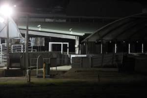 Holding pens - Big River Pork slaughterhouse at night - Captured at Big River Pork Abattoir, Brinkley SA Australia.