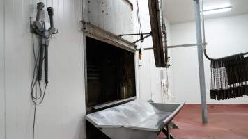 Then killed and hoisted. CA Sinclair slaughterhouse at Benalla VIC - Captured at Benalla Abattoir, Benalla VIC Australia.