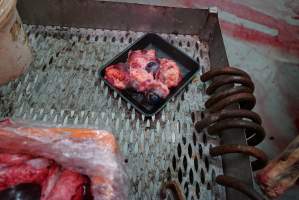 Tray of eyeballs in slaughterhouse chiller room - Gretna Quality Meats, Tasmania - Captured at Gretna Meatworks, Rosegarland TAS Australia.