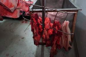 Tongues in slaughterhouse chiller room - Gretna Quality Meats, Tasmania - Captured at Gretna Meatworks, Rosegarland TAS Australia.