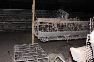 Empty cages in foreground, full three tiers in background - Australian egg farming at Steve's Fresh Farm Eggs NSW - Captured at Steve's Fresh Farm Eggs, Rossmore NSW Australia.