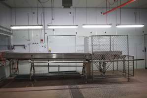 Conveyor belts in chick sorting area - Captured at SBA Hatchery, Bagshot VIC Australia.