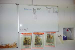 Whiteboard with 'hatch order' - Colour sexing signage underneath - Captured at SBA Hatchery, Bagshot VIC Australia.