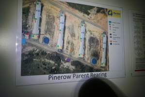 Pinerow parent rearing module map - Captured at SBA Hatchery, Bagshot VIC Australia.