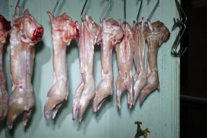 Slaughtered and skinned rabbits hanging in home slaughterhouse - 'Tasmanian Fresh Farmed Rabbits' - Captured at Tasmanian Fresh Farmed Rabbits (Glencroft Farm), Penguin TAS Australia.
