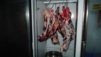 Flesh of unknown slaughtered animals hanging in fridge - 'Tasmanian Fresh Farmed Rabbits' - Captured at Tasmanian Fresh Farmed Rabbits (Glencroft Farm), Penguin TAS Australia.