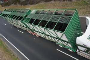 Cattle truck on highway - Captured at VIC.