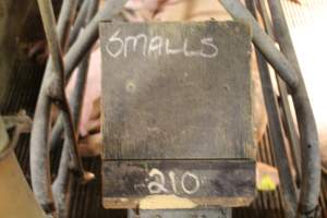 Chalk board Smalls - Captured at Glasshouse Country Farms, Beerburrum QLD Australia.