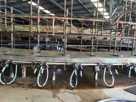 Captured at Unknown Dairy, Timboon VIC Australia.