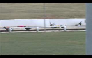 Greyhounds fall while racing in Canberra, ACT.
