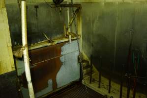 Cattle knockbox - Captured at Strath Meats, Strathalbyn SA Australia.