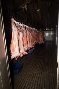 Sheep and pig carcasses in chiller room - Snowtown Abattoir - See more at www.aussieabattoirs.com/slaughterhouses/snowtown - Captured at Snowtown Abattoir, Snowtown SA Australia.
