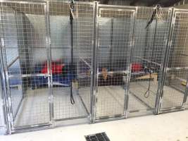 Racing Greyhounds - Kennels