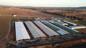 Aerial view from drone - Captured at Cibus Goats, Trafalgar East VIC Australia.