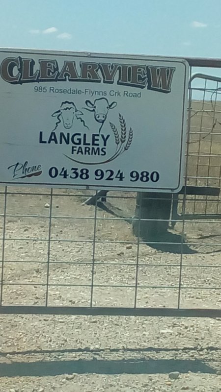neighbouring farm of which i was abused by over the phone stating he had spoke to the farmer of which neither cared about the down cow - Captured at Langley farm, 985 Rosedale-Flynns Creek Road, Flynn VIC.
