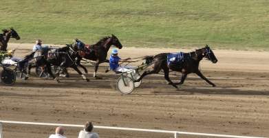 Harness Racing - Penrith Paceway - Captured at Penrith NSW.