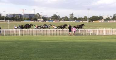Harness Racing - Penrith Paceway - Captured at Penrith NSW.