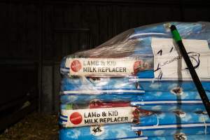 Lamb & Kid Milk Replacer - Captured at Lochaber Goat Dairy, Meredith VIC Australia.