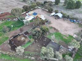 Drone flyover of slaughterhouse - Captured at Snowtown Abattoir, Snowtown SA Australia.