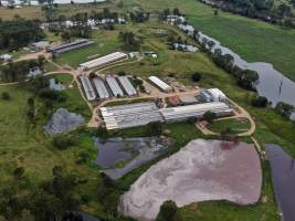 Wilrose Piggery - Aerial view of 'Wilrose' Piggery. - Captured at Wilrose Piggery, Netherby QLD Australia.
