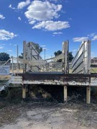 Decrepit conditions of abandoned Saleyard - Captured at Moree Saleyards, Moree NSW Australia.