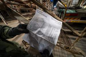 Investigator reads daily kill agenda found underneath holding pens - Captured at Ralphs Meat Co, Seymour VIC Australia.