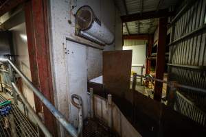 End of raceway leading into kill room - Captured at Ralphs Meat Co, Seymour VIC Australia.